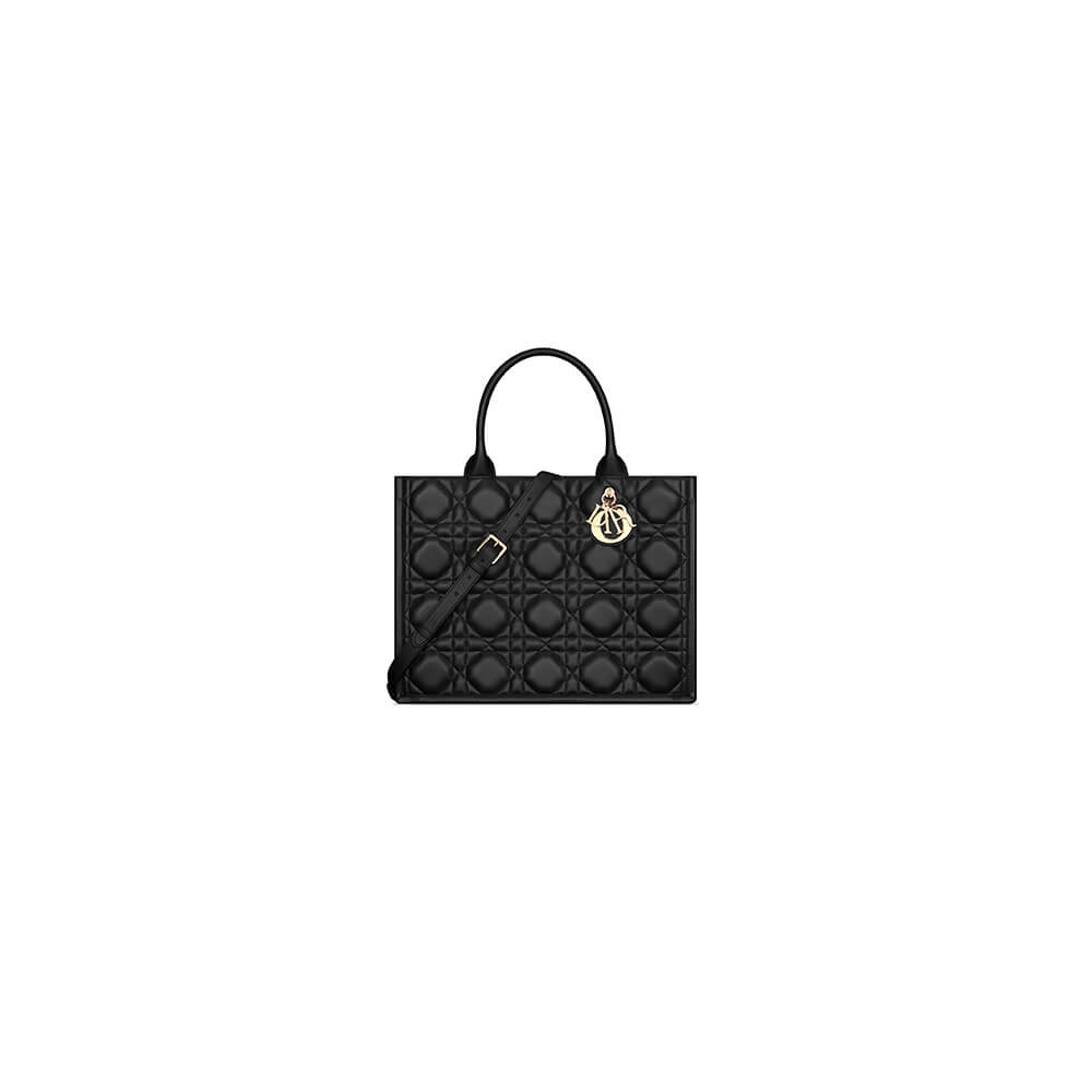 Dior Medium Book Tote Bag - Replica Luxury Bags™