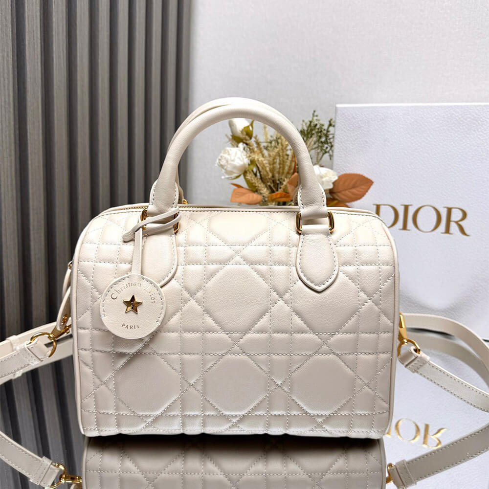 Dior Groove 25 Bag - Replica Luxury Bags™