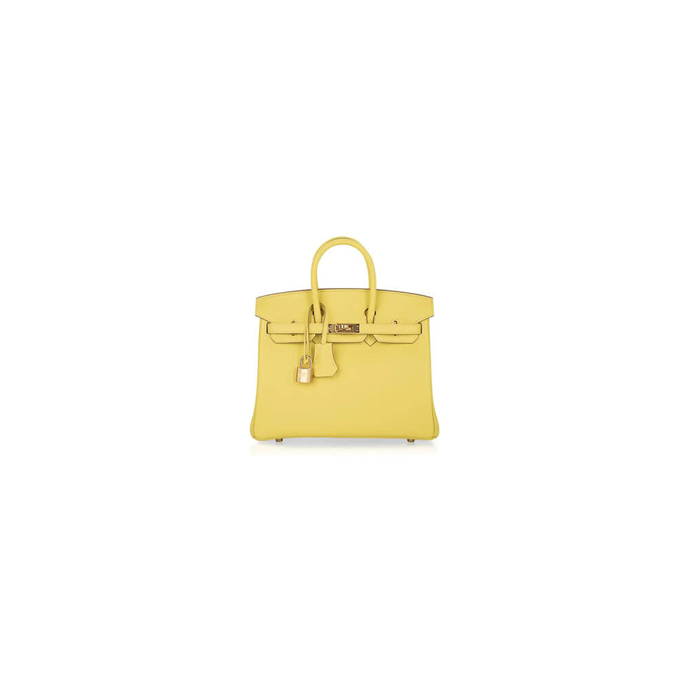 Hermes Birkin 25 Bag - Replica Luxury Bags™