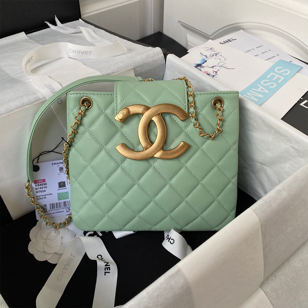 Chanel 24C Bag in Green - Replica Luxury Bags™