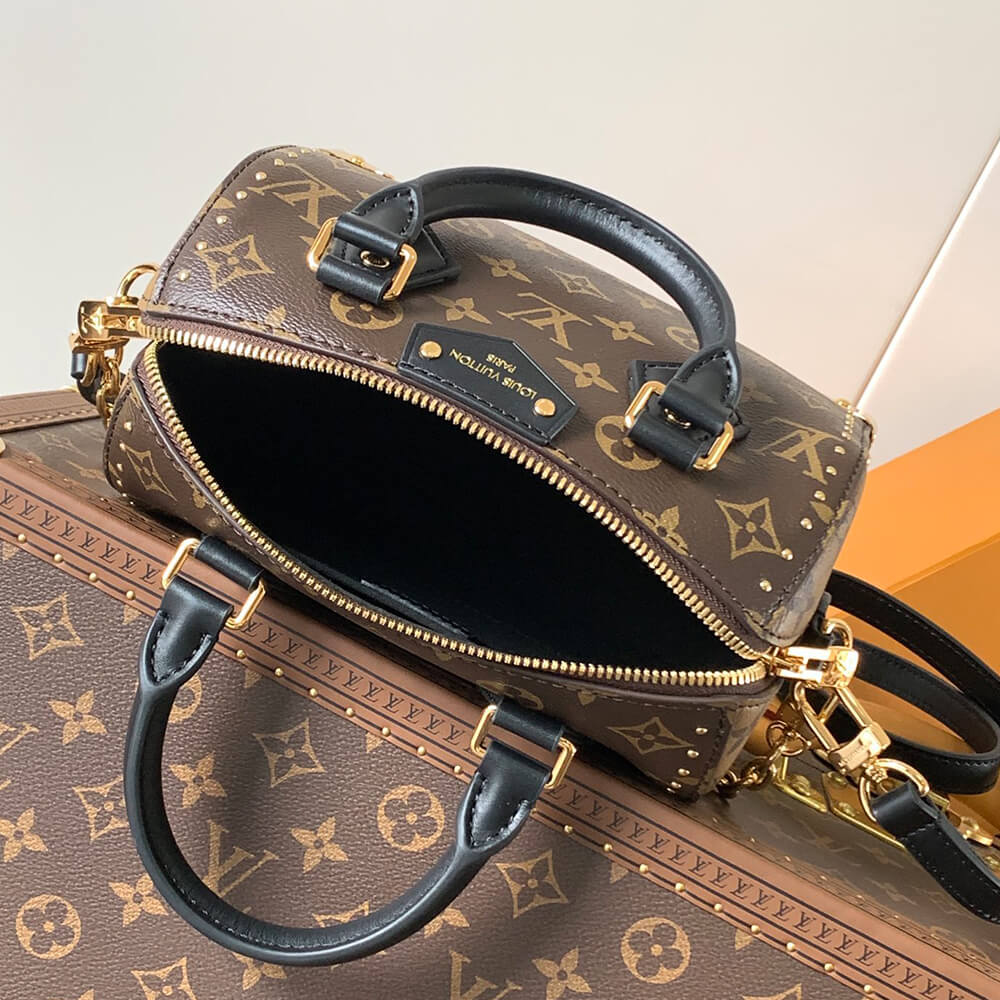 LV Speedy Trunk 20 Bag - Replica Luxury Bags™