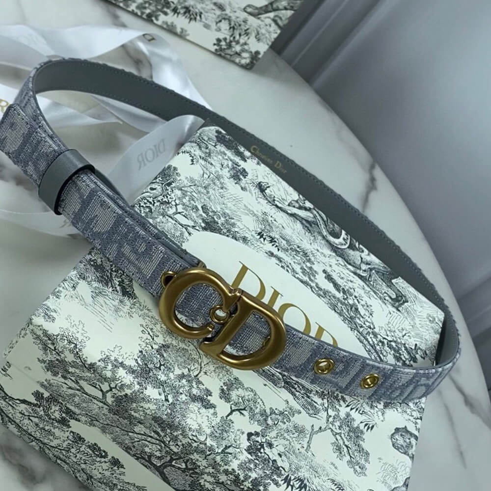 DIOR 20mm belt - Replica Luxury Bags™