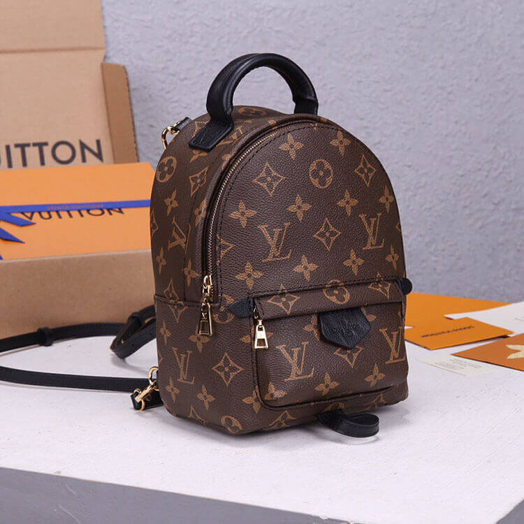 LV Palm Springs Mini Backpack Bag - Replica Luxury Bags™