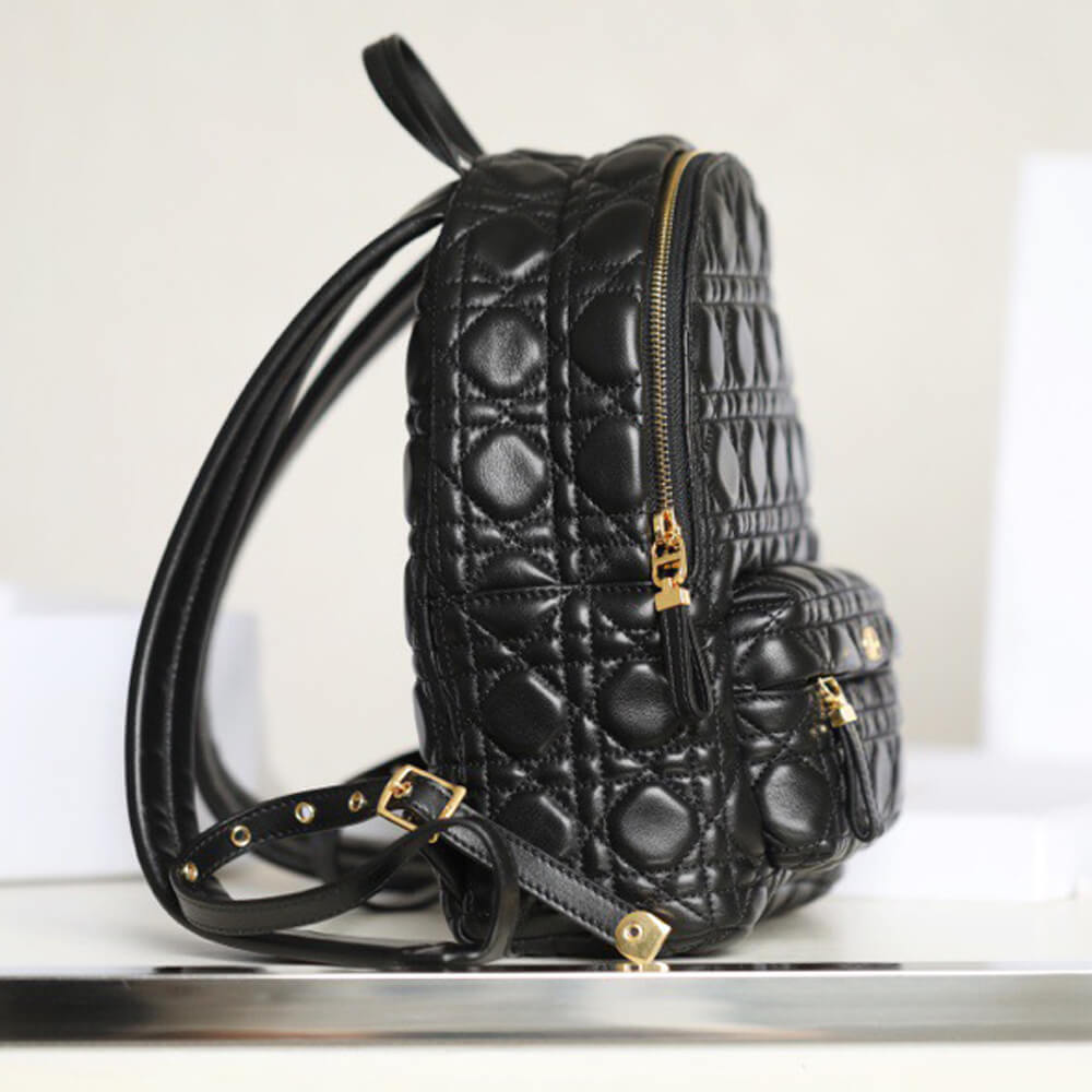 Small Dior Backpack Bag - Replica Luxury Bags™