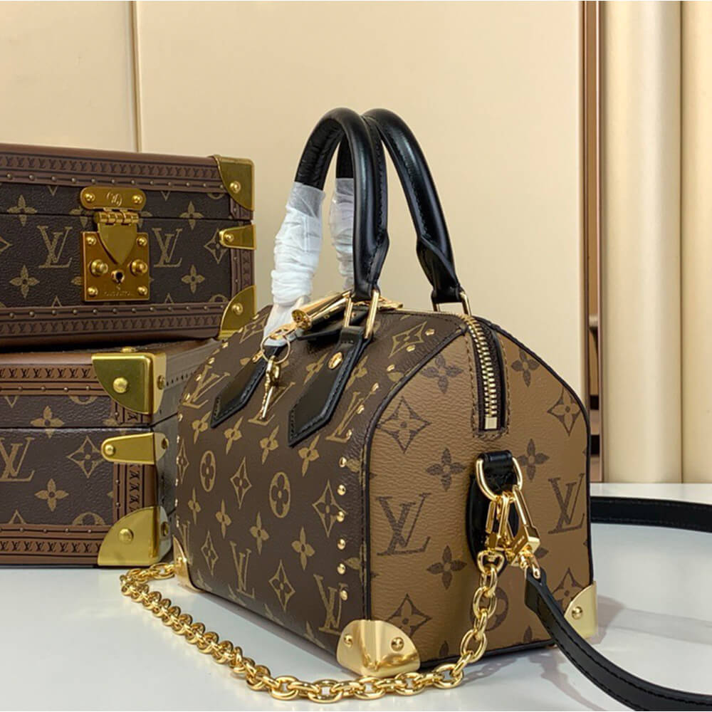 LV Speedy Trunk 20 Bag - Replica Luxury Bags™