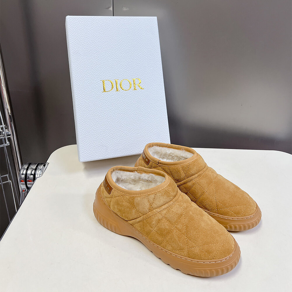 Dior Frost Ankle Boot Shoes - Replica Luxury Bags™