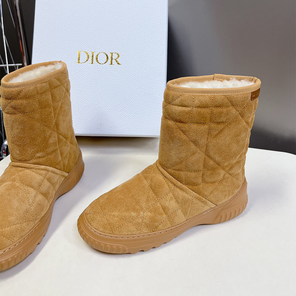 Dior Frost Ankle Boot Shoes - Replica Luxury Bags™