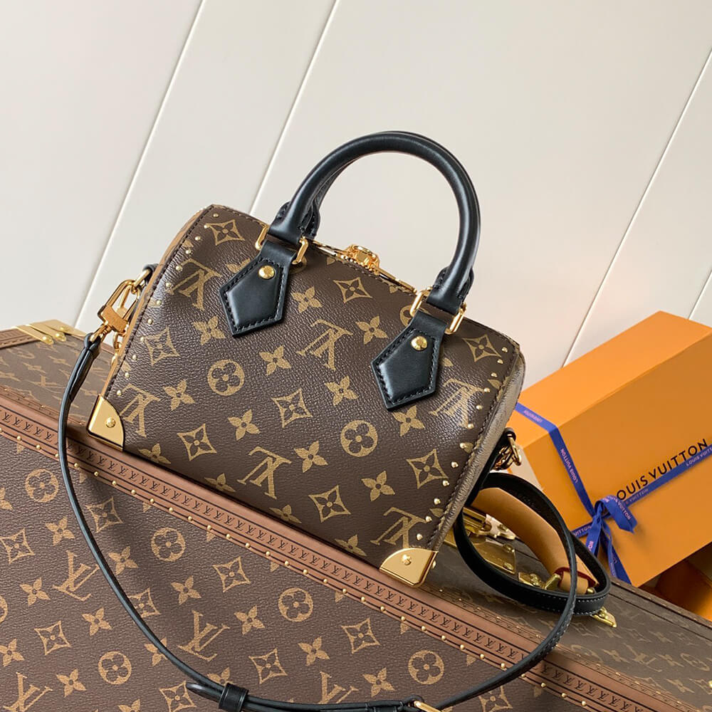 LV Speedy Trunk 20 Bag - Replica Luxury Bags™