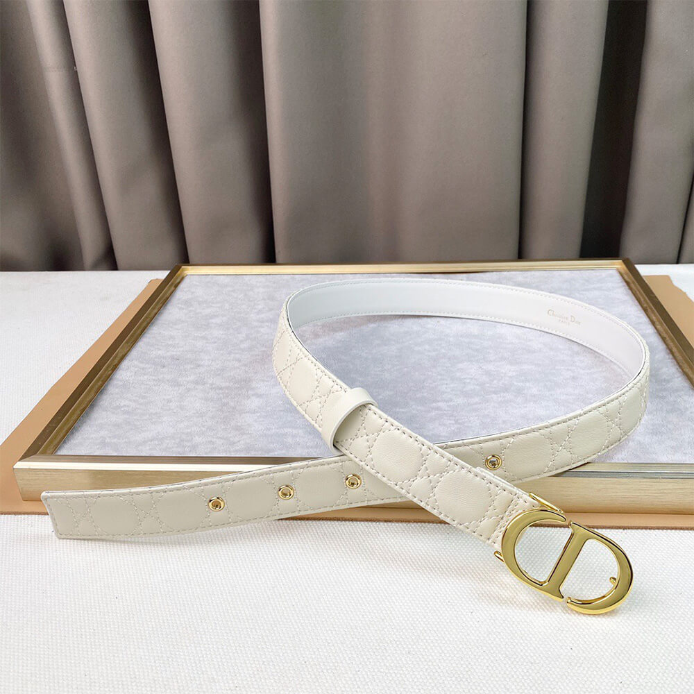 DIOR 30mm belt - Replica Luxury Bags™