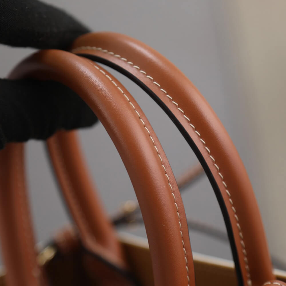 Celine Mini Vertical Cabas Bag in Triomphe Canvas With Celine Print - Replica Luxury Bags™