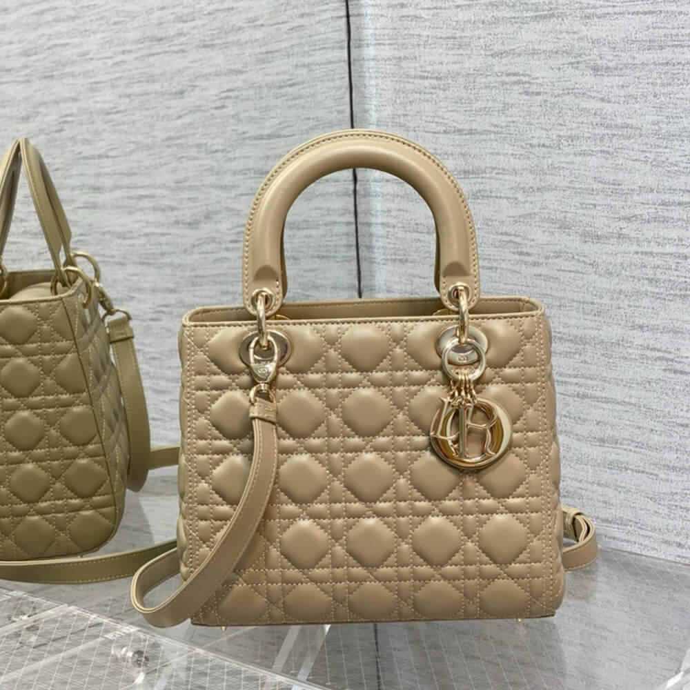 Medium Lady Dior Bag - Replica Luxury Bags™
