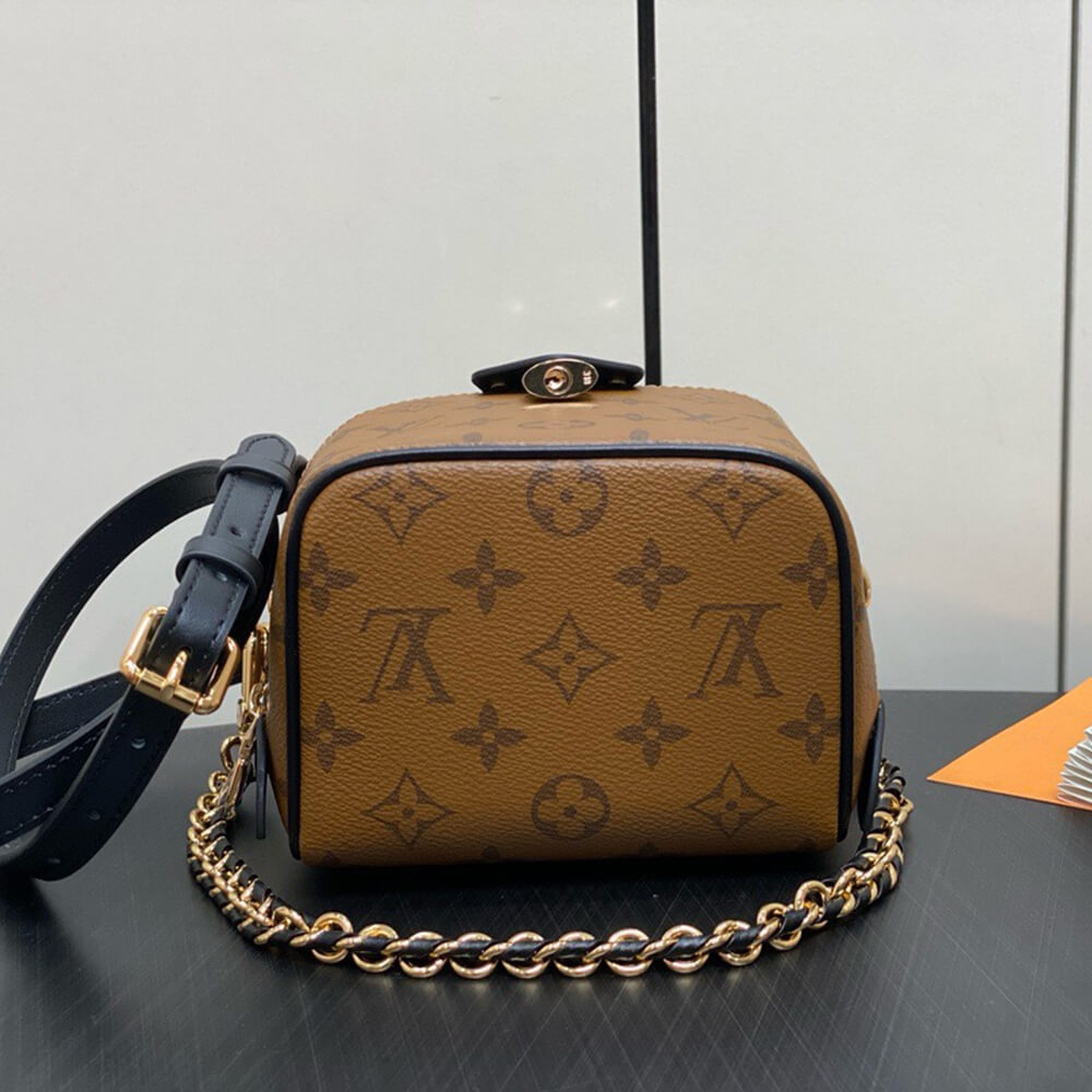 LV Just In Case Bag - Replica Luxury Bags™
