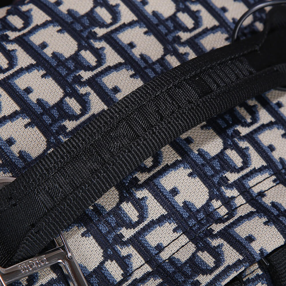 Diortravel Backpack Bag - Replica Luxury Bags™