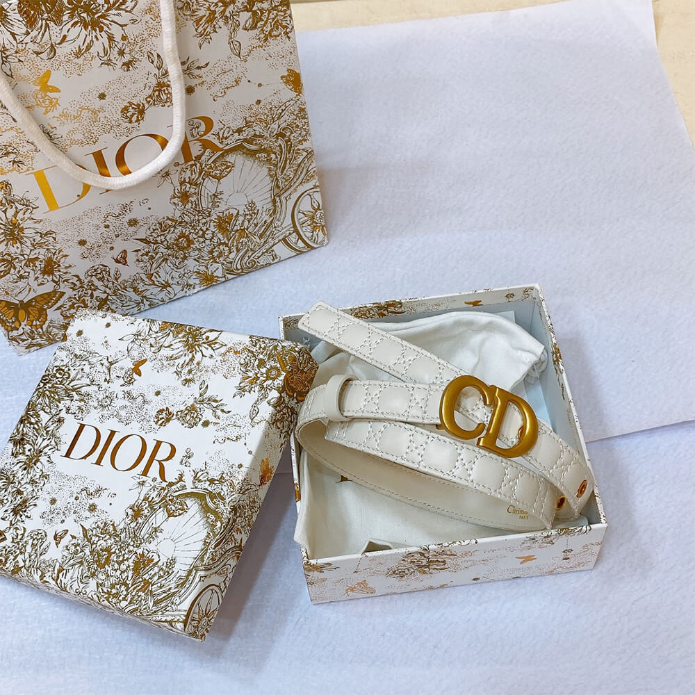 DIOR 20mm belt - Replica Luxury Bags™