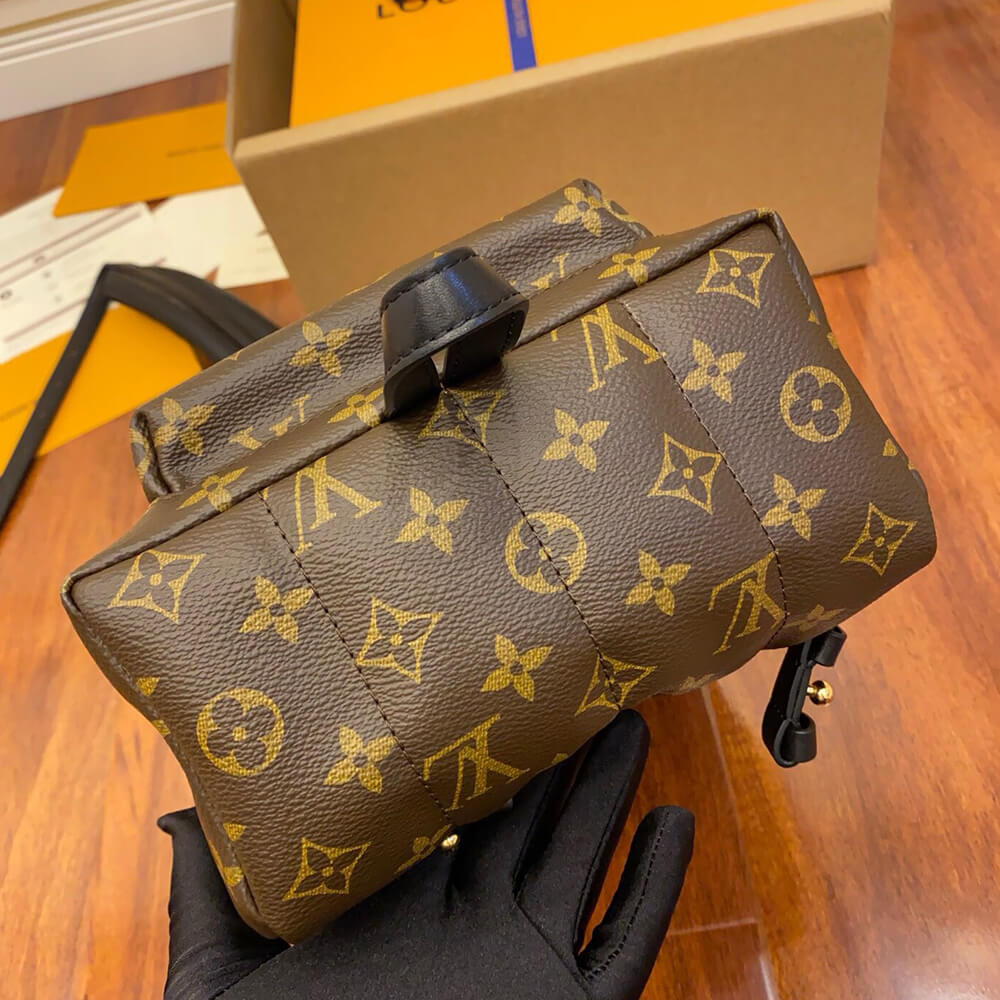 LV Palm Springs PM Backpack Bag - Replica Luxury Bags™