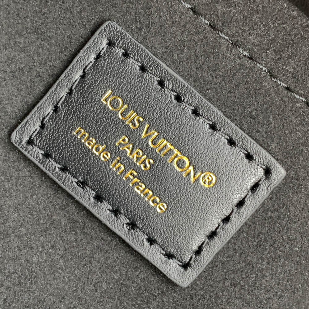 LV Speedy Trunk 20 Bag - Replica Luxury Bags™