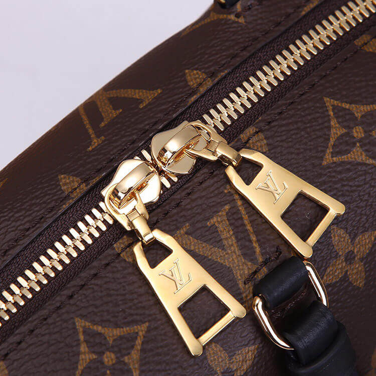 LV Petite Malle Souple Handbag - Replica Luxury Bags™