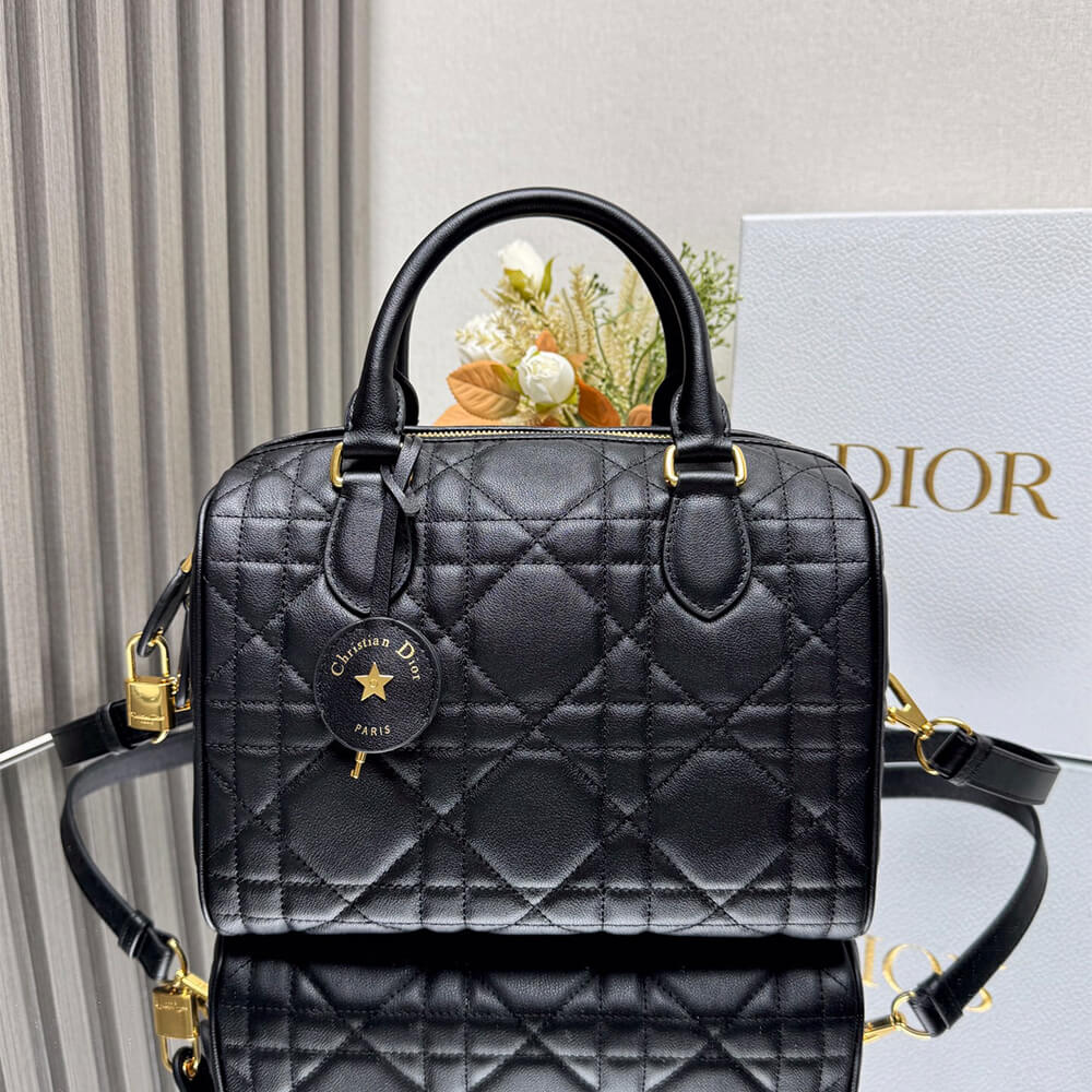 Dior Groove 25 Bag - Replica Luxury Bags™
