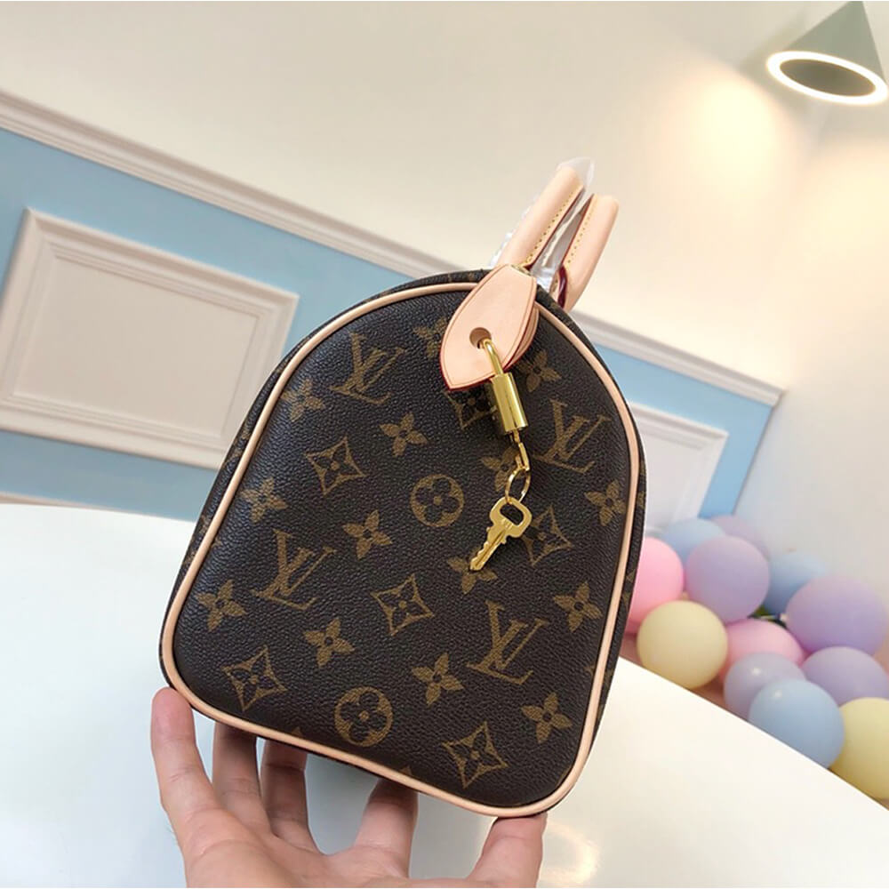 LV Speedy 25 Bag - Replica Luxury Bags™