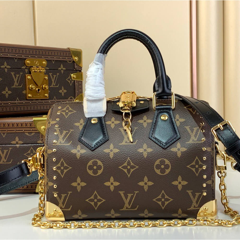 LV Speedy Trunk 20 Bag - Replica Luxury Bags™