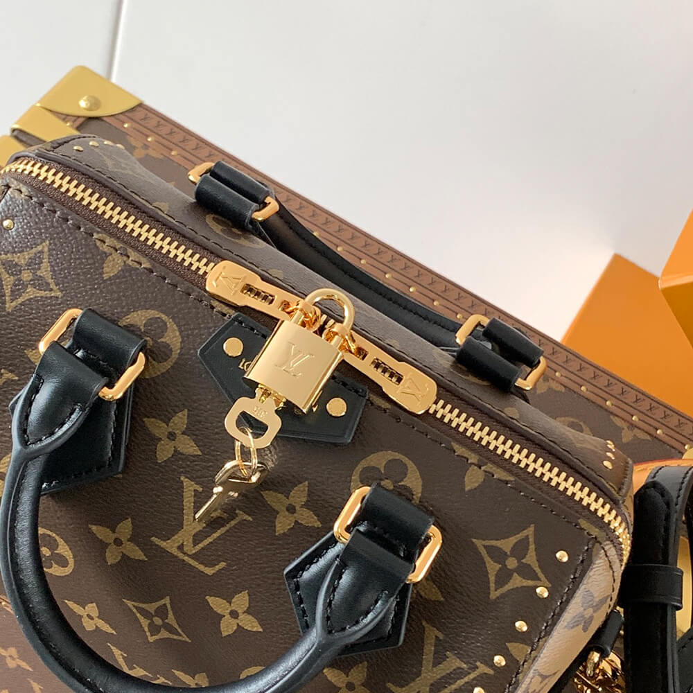LV Speedy Trunk 20 Bag - Replica Luxury Bags™