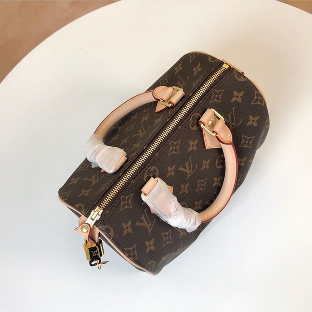 LV Speedy 25 Bag - Replica Luxury Bags™