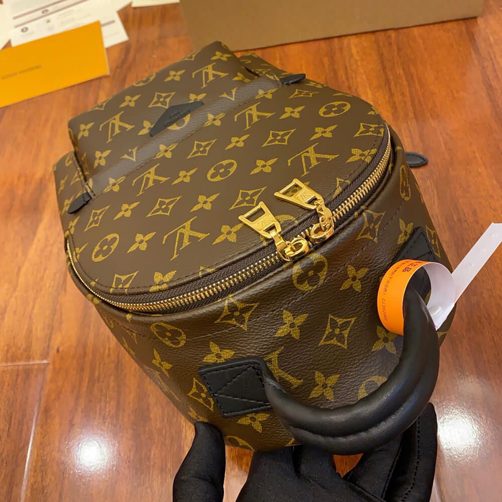 LV Palm Springs PM Backpack Bag - Replica Luxury Bags™