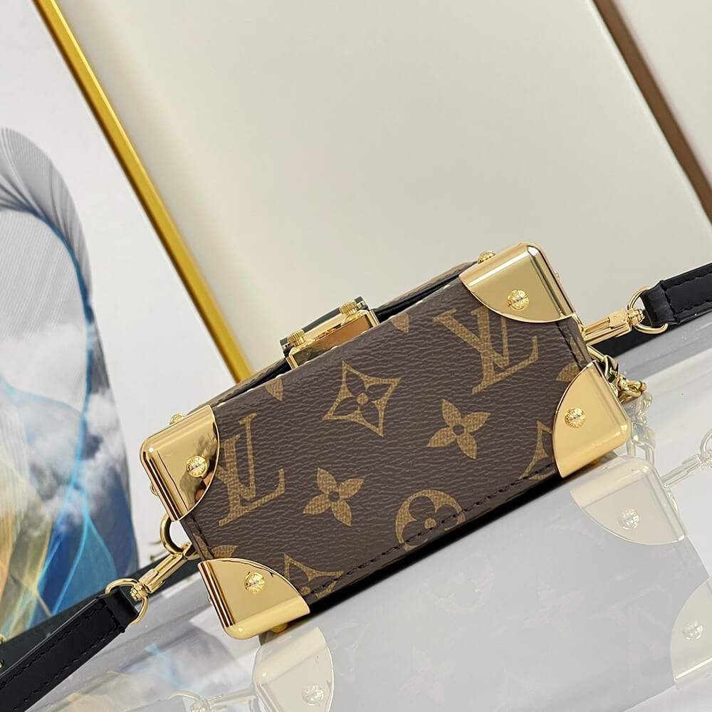 LV Camera Box Vertical Case Bag - Replica Luxury Bags™