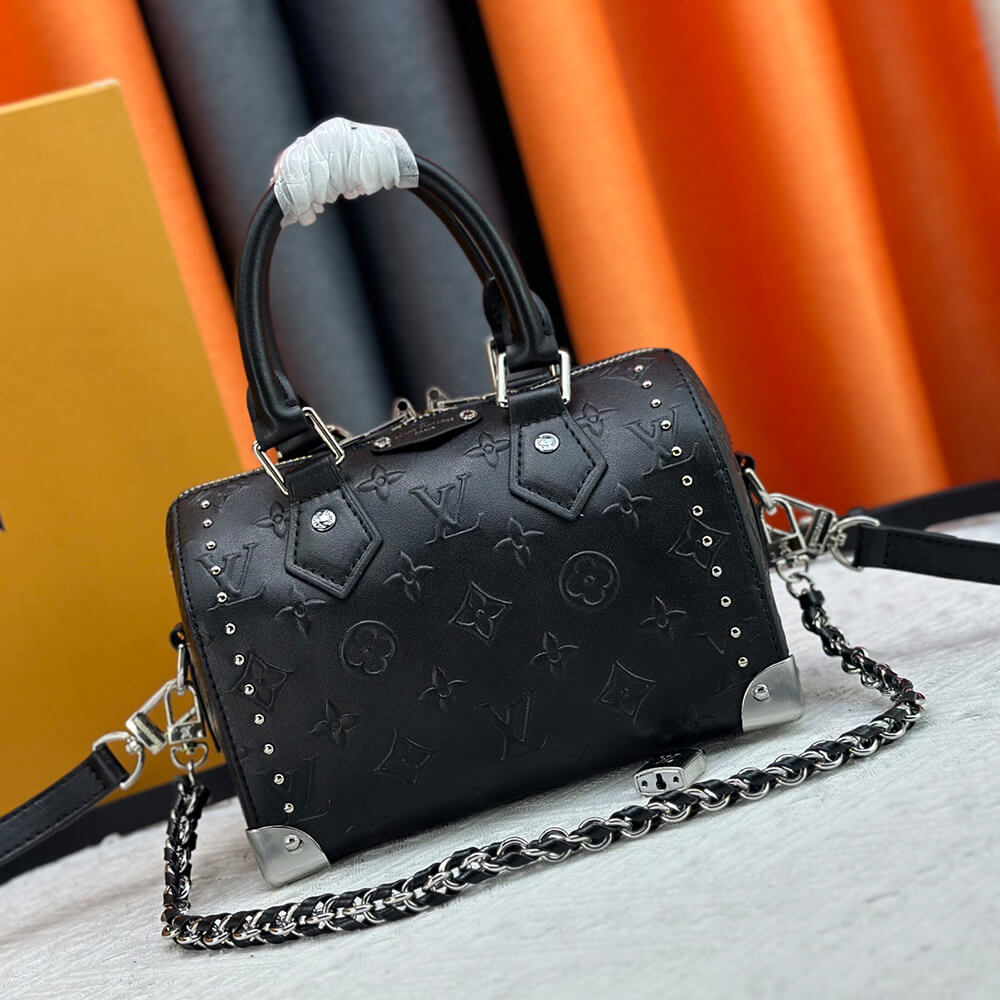 LV Speedy Trunk 20 Bag - Replica Luxury Bags™