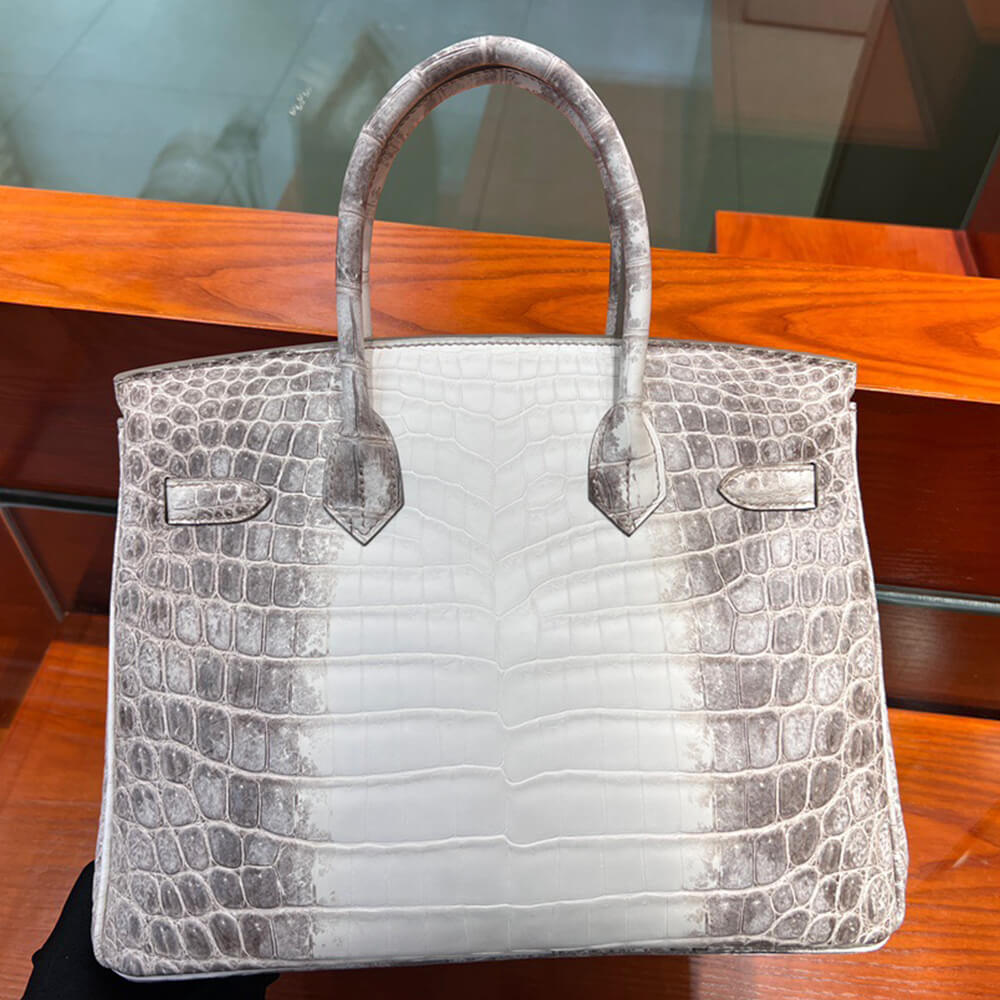Hermes Birkin 30 Himalayan Bag - Replica Luxury Bags™