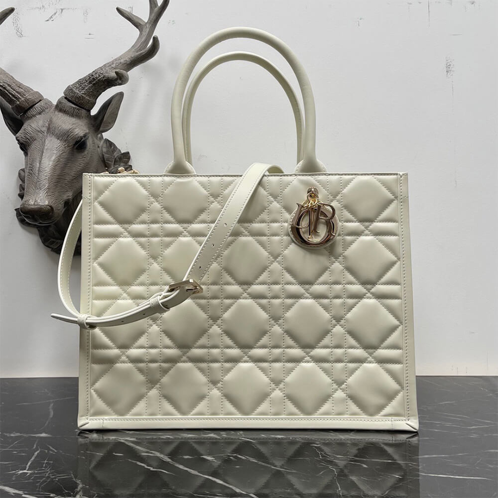 Dior Medium Dior Book Tote Bag - Replica Luxury Bags™