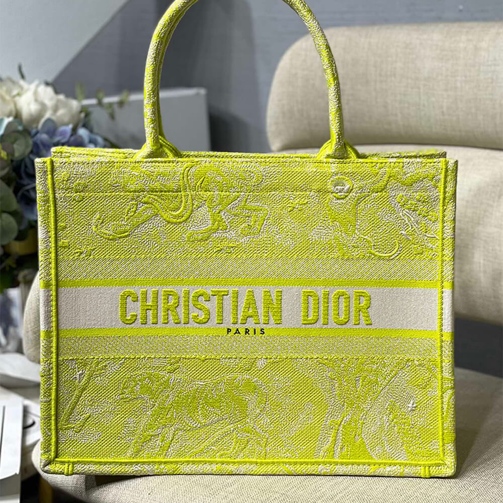 Small Dior Book Tote Bag - Replica Luxury Bags™