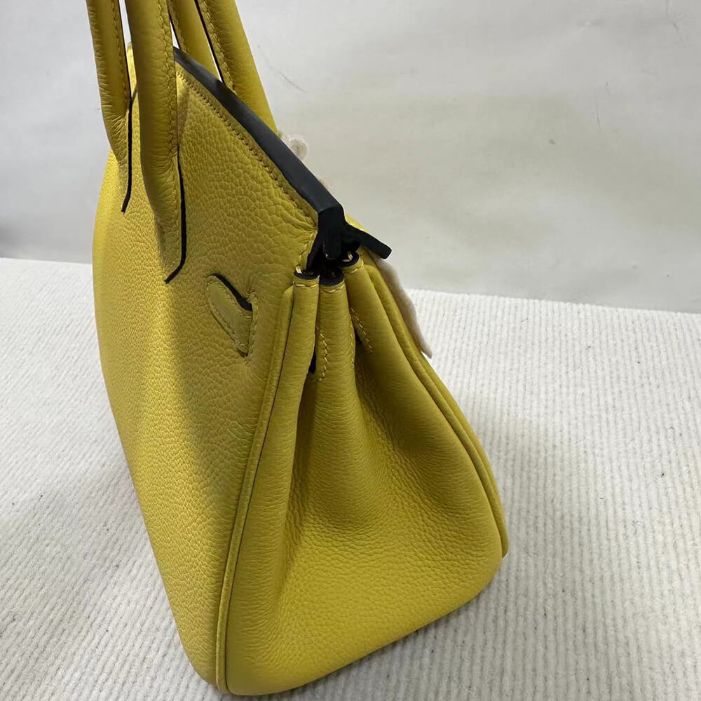 Hermes Birkin 25 Bag - Replica Luxury Bags™