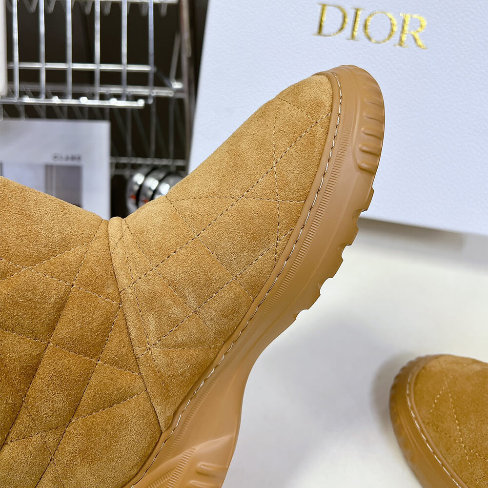 Dior Frost Ankle Boot Shoes - Replica Luxury Bags™