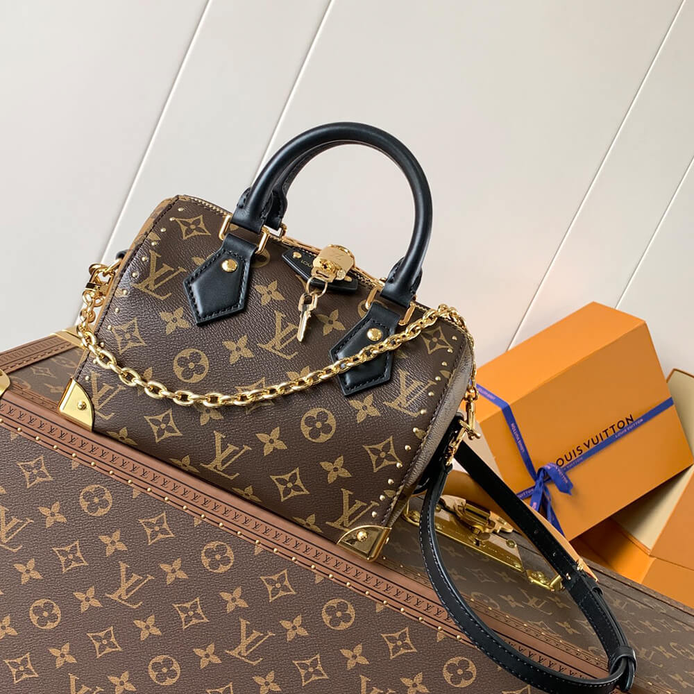 LV Speedy Trunk 20 Bag - Replica Luxury Bags™