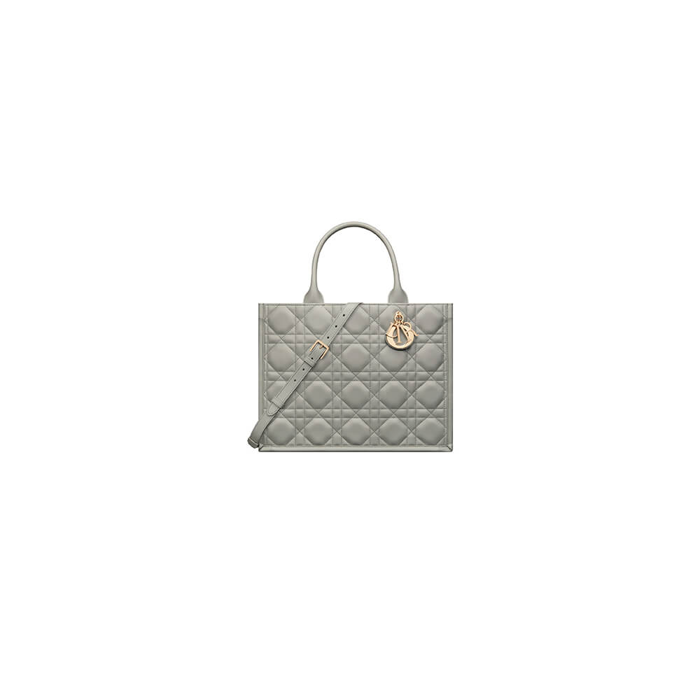 Dior Medium Book Tote Bag - Replica Luxury Bags™