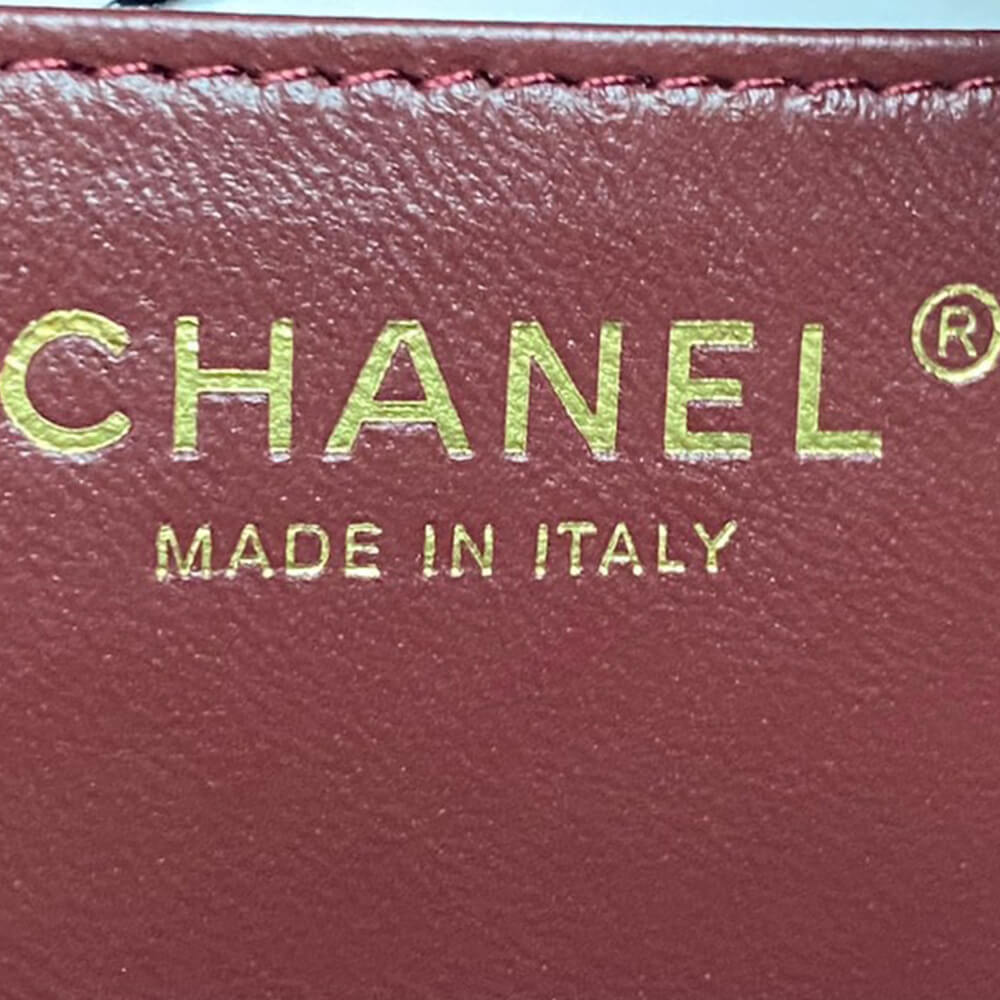 Chanel Mini Camera Case Bag - Replica Luxury Bags™