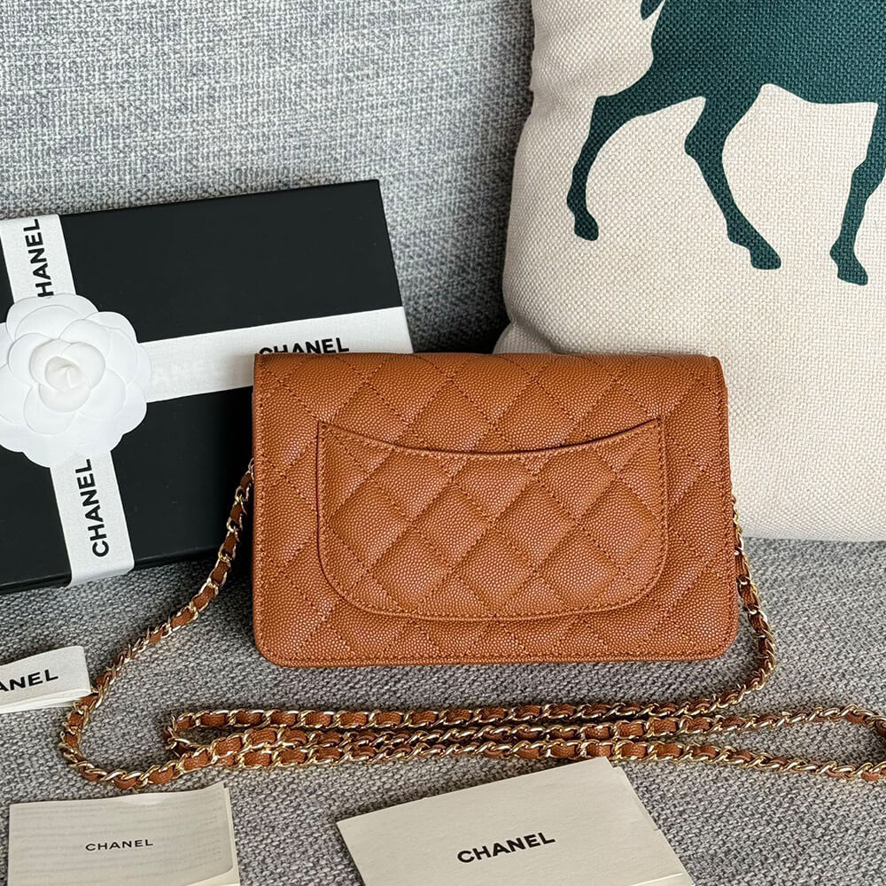 Chanel Wallet On Chain Bag - Replica Luxury Bags™