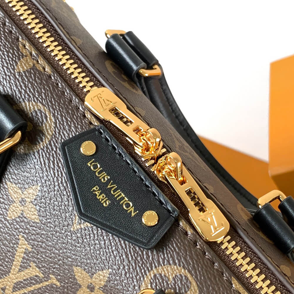 LV Speedy Trunk 20 Bag - Replica Luxury Bags™