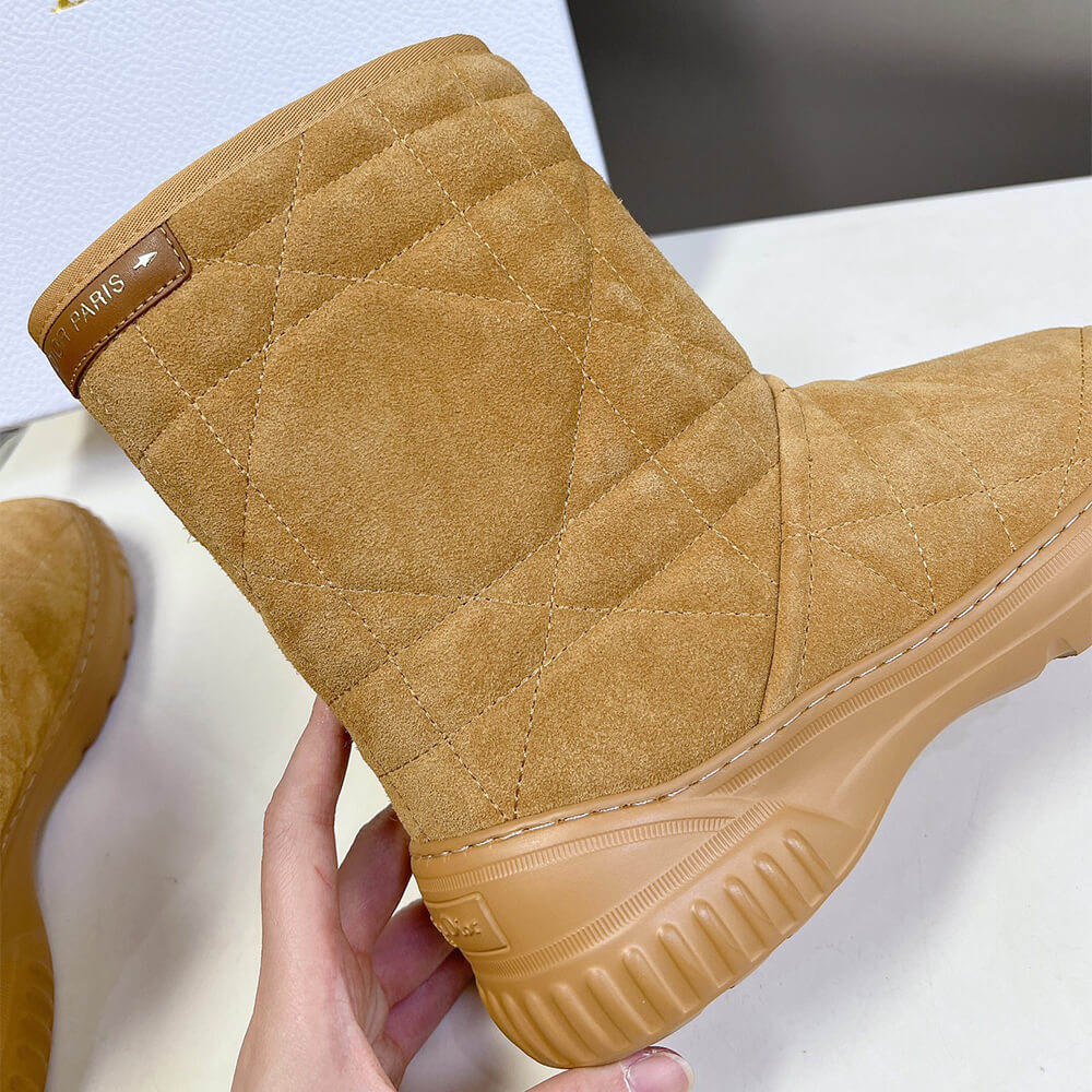 Dior Frost Ankle Boot Shoes - Replica Luxury Bags™