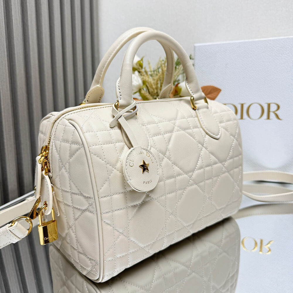 Dior Groove 25 Bag - Replica Luxury Bags™