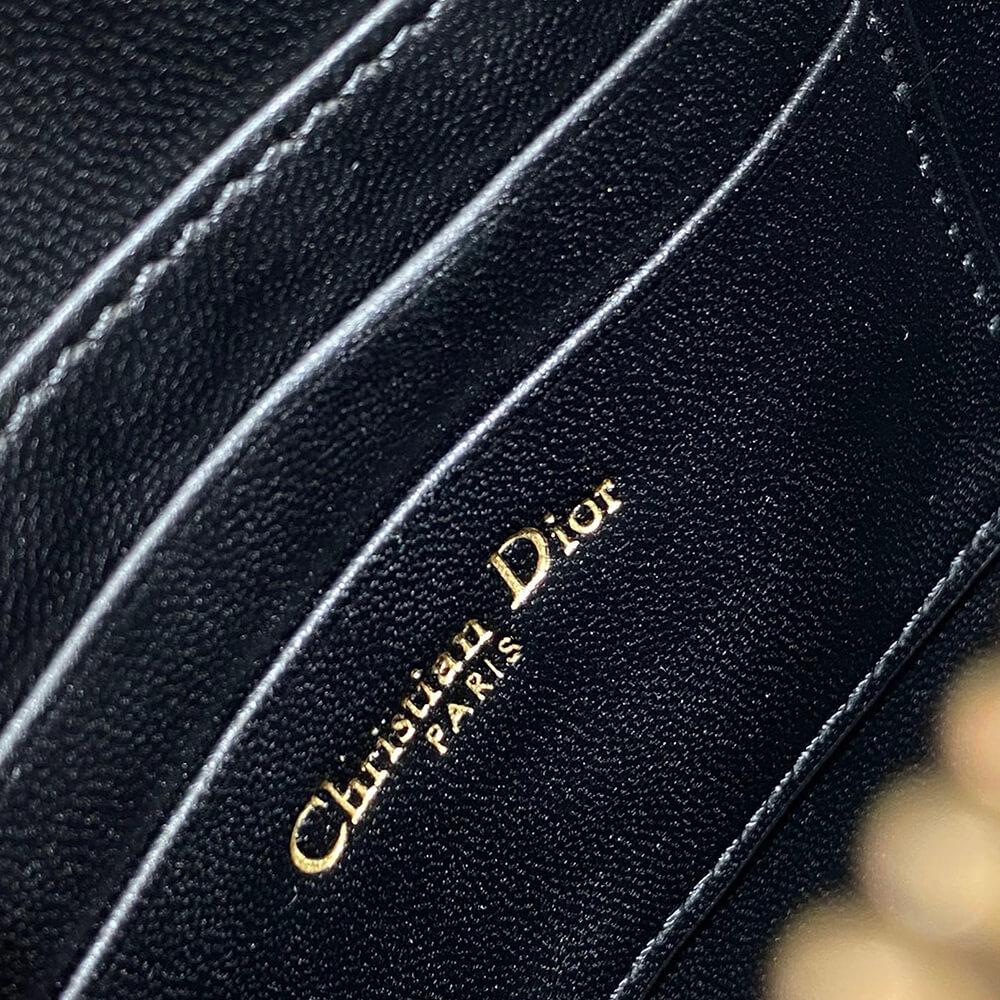 Dior Saddle Rodeo Pouch Bag - Replica Luxury Bags™
