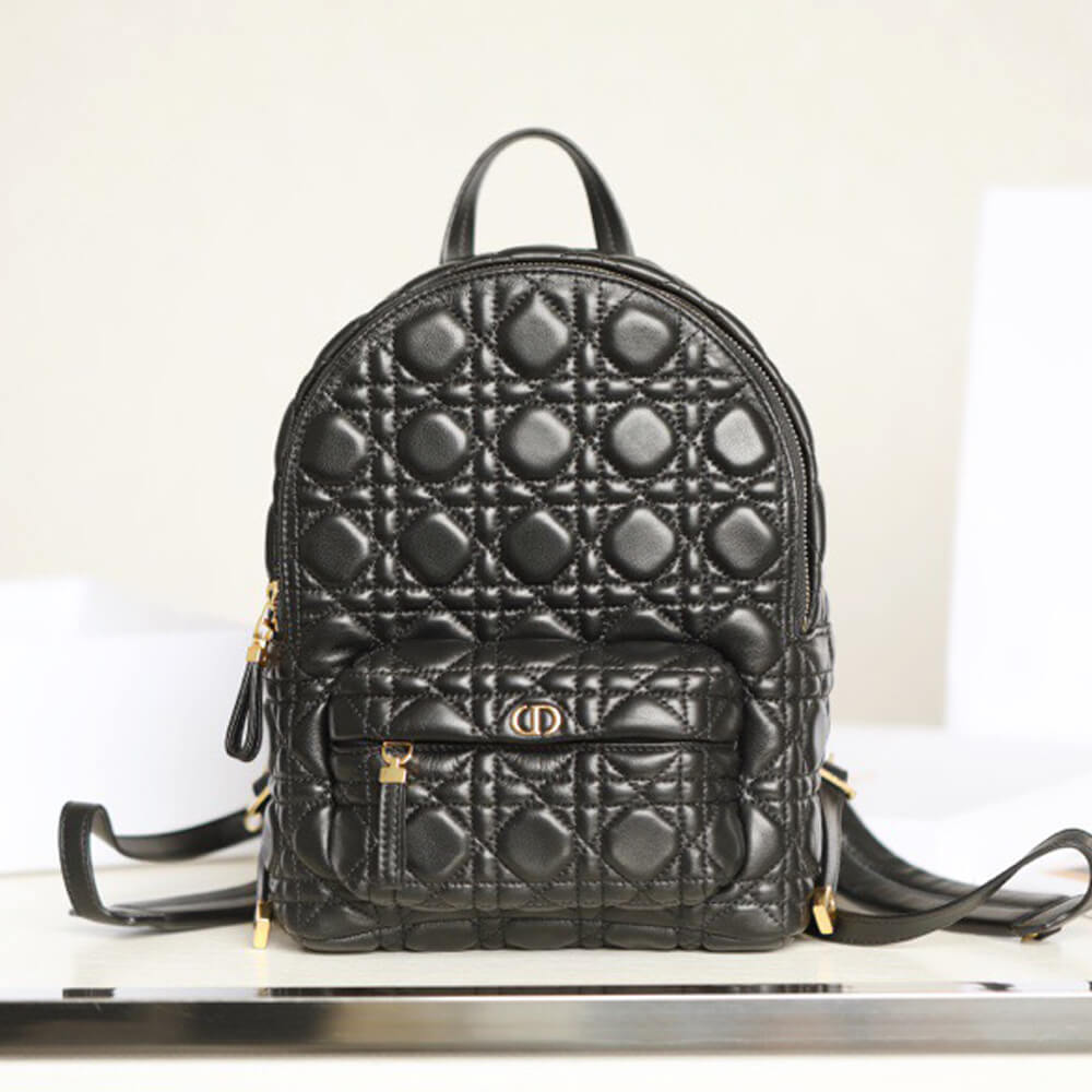 Small Dior Backpack Bag - Replica Luxury Bags™