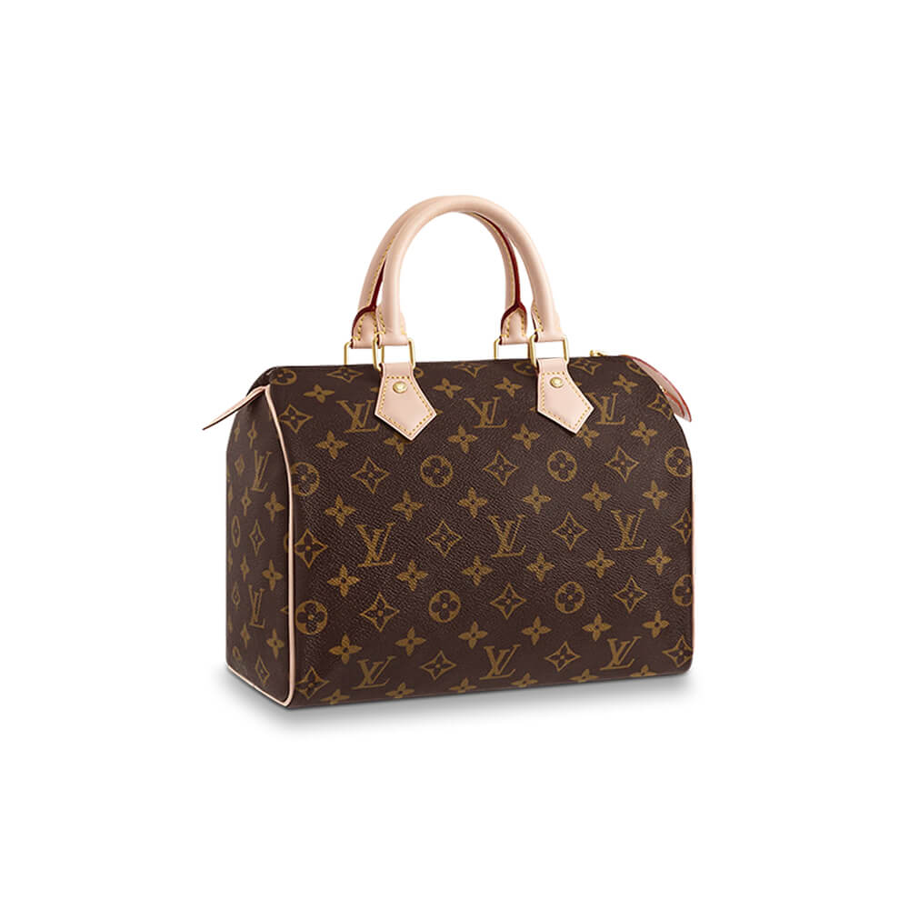 LV Speedy 25 Bag - Replica Luxury Bags™