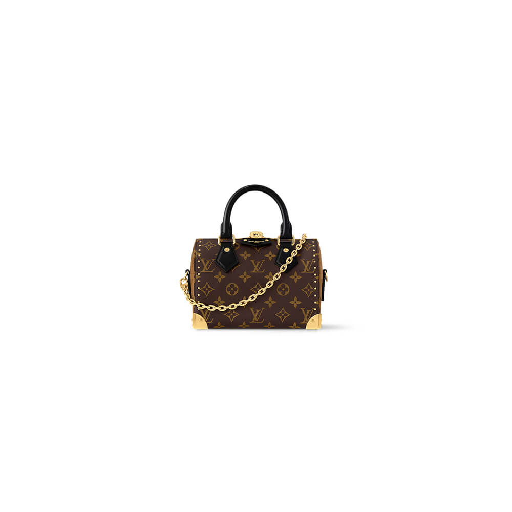 LV Speedy Trunk 20 Bag - Replica Luxury Bags™