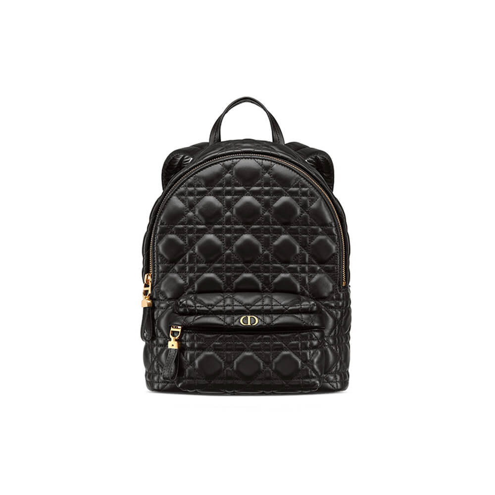 Small Dior Backpack Bag - Replica Luxury Bags™