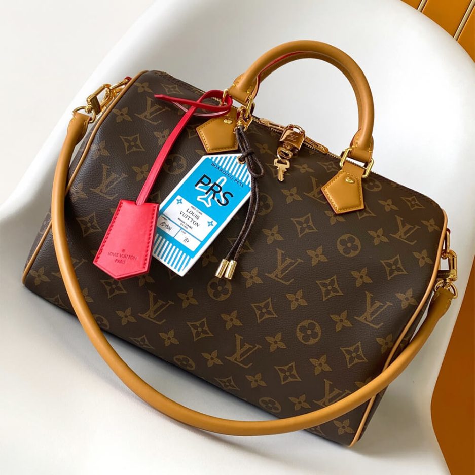 LV Speedy Soft 30 Crafty Bag - Replica Luxury Bags™