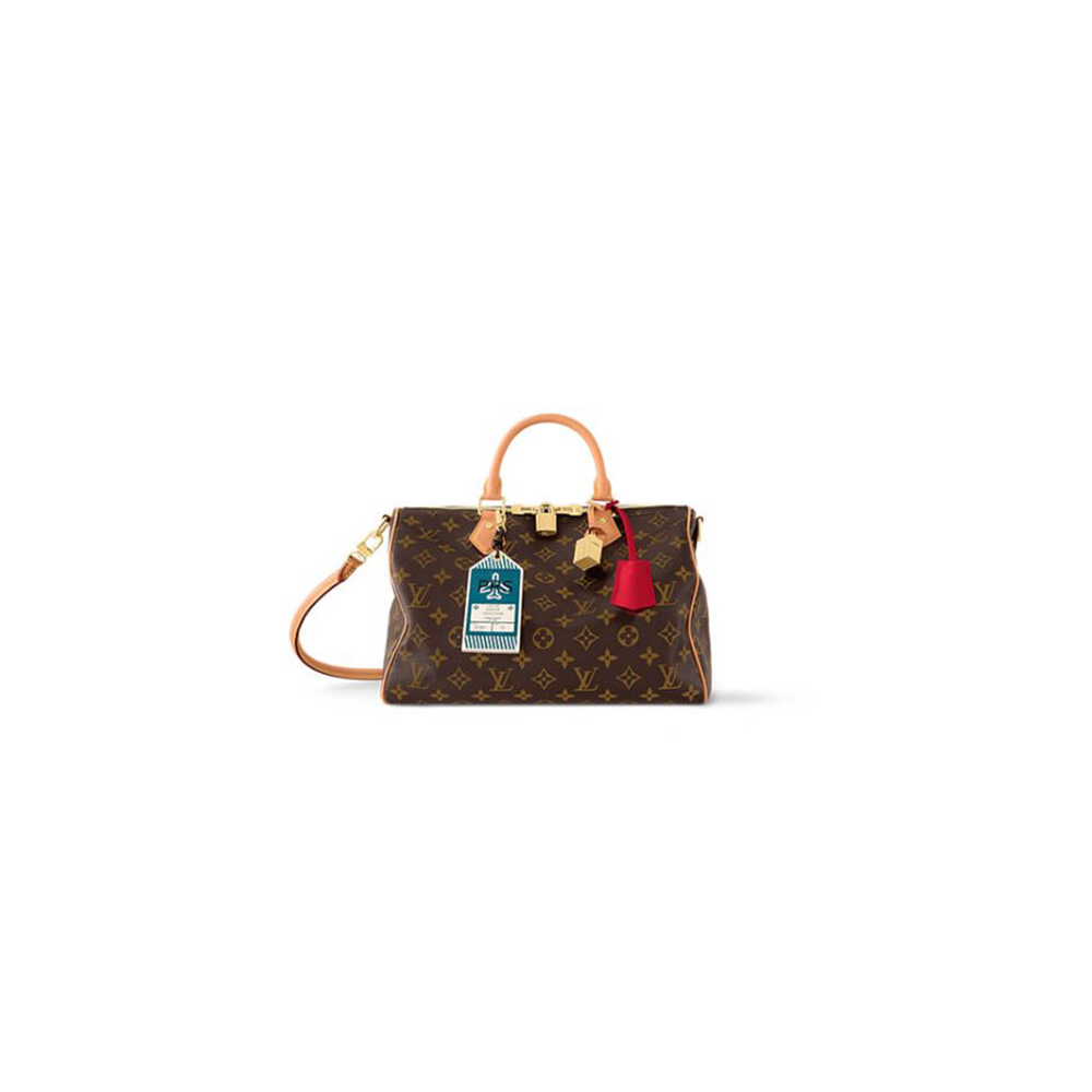 LV Speedy Soft 30 Crafty Bag - Replica Luxury Bags™