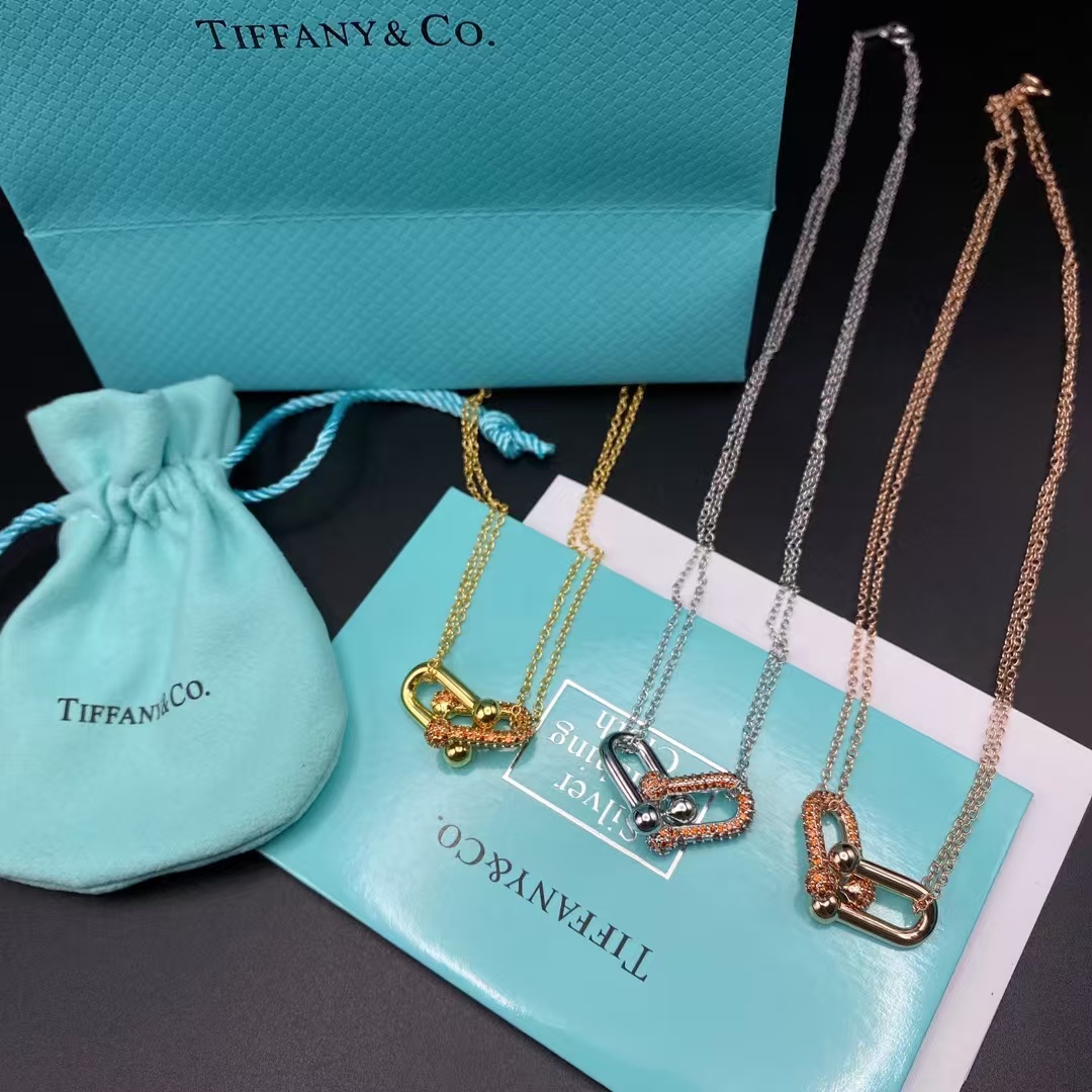 Tiffany Large Double Link Pendant Necklace - Rep Fashion™