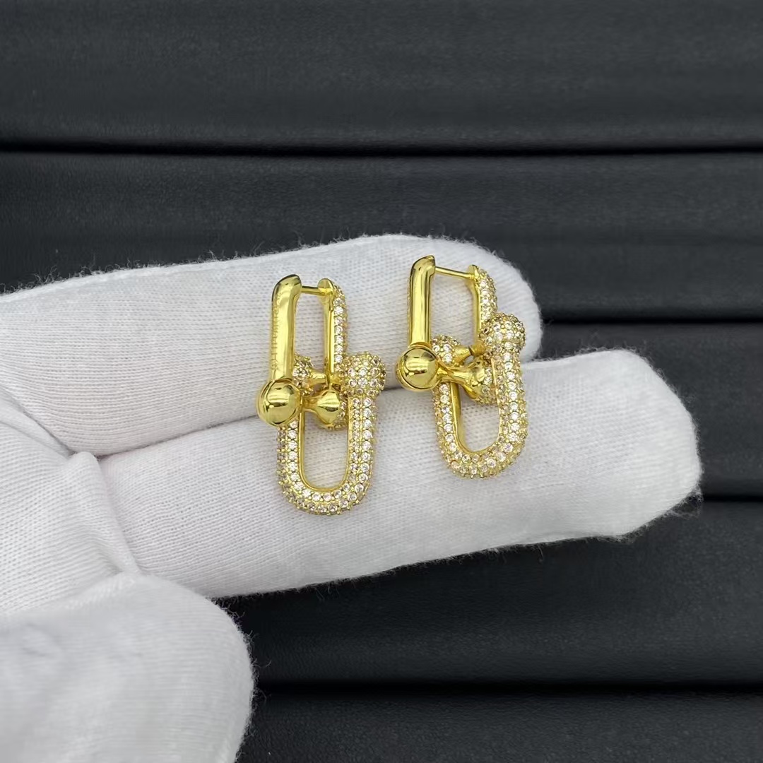 Tiffany HardWear Large Link Earrings - Rep Fashion™